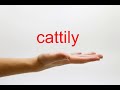 How to Pronounce cattily - American English