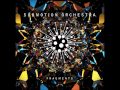 Submotion Orchestra - Bird of Prey 