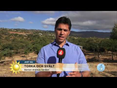 Direktrapport om svälten i Kenya - Nyhetsmorgon (TV4)