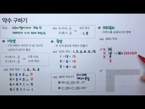 [청개구리유여사] 약수 구하기/ 약수 쉽게 구하는 방법