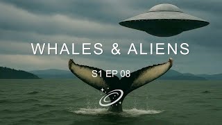 Whales & Aliens S1 Ep 08