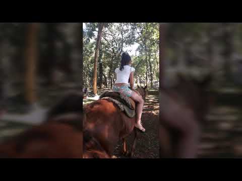 Quinta Edição do projeto "PASSEIO A CAVALO NO VERDÃO "