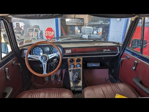 1975 Alfa Romeo Giulia Super 1300 (CC-1800631) for sale in Riverhead, New York