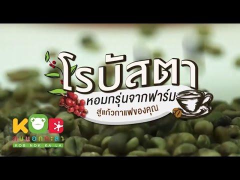 ครีมจากที่เติบโตเป็นสมาชิก แบกและค้อนของ ธ อร์