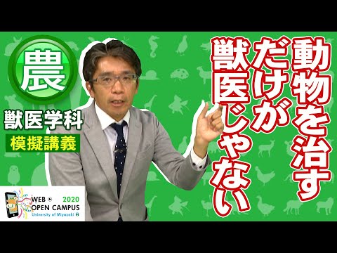コロナウイルスの起源:ウイルスは何十年もの間この動物に生息していた