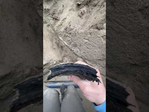 What We Found When We Dug Up This New Sewer Line! #pipeburst #trenchless #spokane