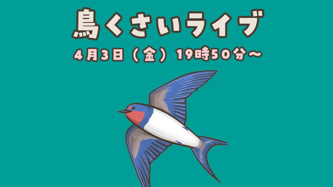 【トークテーマ】愛鳥さんのどんな仕草（行動）に笑わせられる？