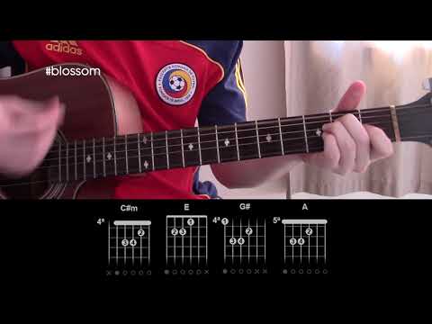 Blossom - Milky Chance