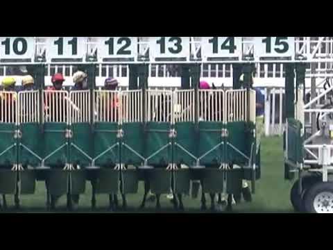 【香港賽馬】2022年5月22日 「新力高升」唔傷都暈暈地！！照跑！？殺雞取卵！？