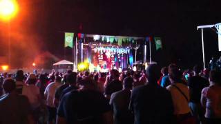 Animal Collective - Summertime Clothes (Pitchfork Festival 2011)