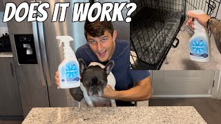 Pooph odor and stain remover!
