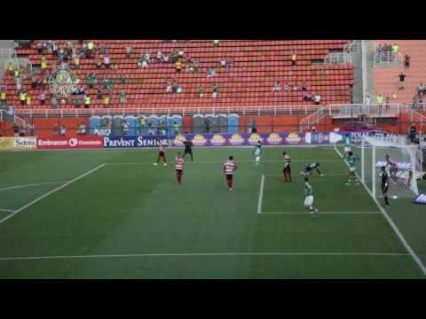 Campeonato Paulista 2014 - Confira os gols de Palmeiras 2 x 1 Linense