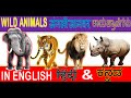 Wild Animals Name In English Hindi And Kannada | जंगली जानवरों के नाम | ಕಾಡು 