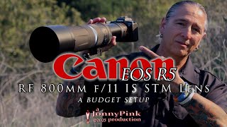 Hummingbirds with Canon's R5 with the RF 800 F11! A fantastic budget set up. 📷