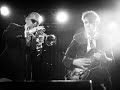Jazz Butcher Documentary Update September 2025