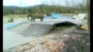 preview picture of video 'skatepark domžale obisk slon'