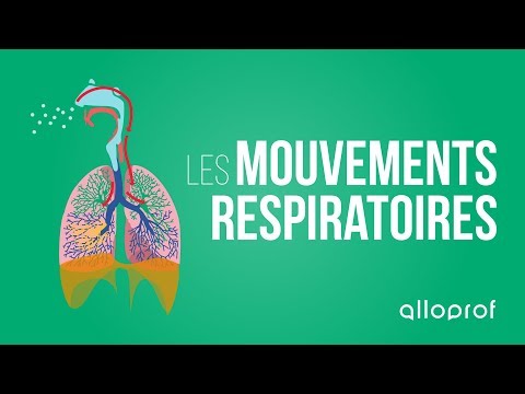 download lagu mp3 mp4 Les Mouvements Respiratoires, download lagu Les Mouvements Respiratoires gratis, unduh video klip Les Mouvements Respiratoires