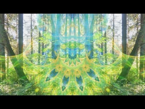 Akasha Experience - Gaia Calling [Music Video]