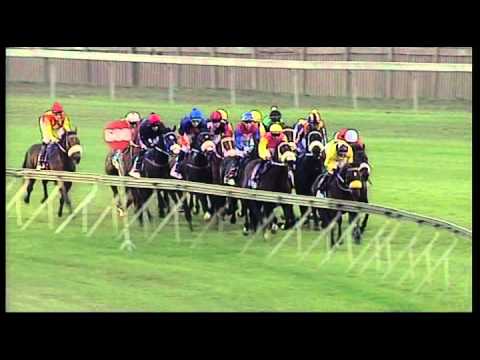 Greyville 27072013 race 8