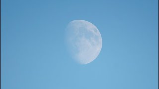 Faded Kim Petras ft. Lil Aaron [Lyric] 和訳