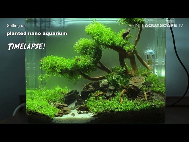 Setting up planted nano aquarium - timelapse
