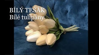 Video BÍLÝ TESÁK - Bílé tulipány