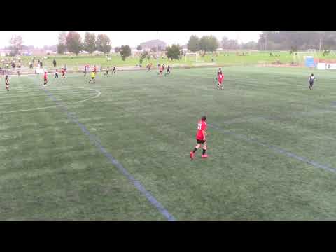 OVF 06B Elite vs. CFC 10.4.20