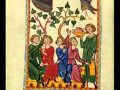 Istu Vinum Bonum Vinum Vinum Generosu Micrologus Codex Manesse