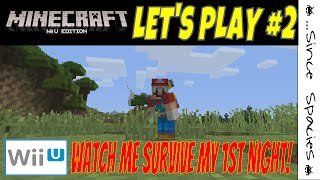 Minecraft Wii U LP2