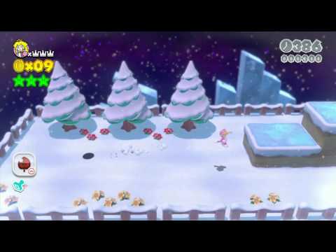 Super Mario 3D World 3-1 Speedrun - Time: 15