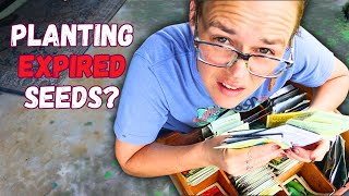 Fermenting Pickles and Sowing Seeds | Hamakua Homestead | Vlog