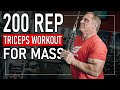 VERY High Rep Tricep workout (DO THIS NOW)