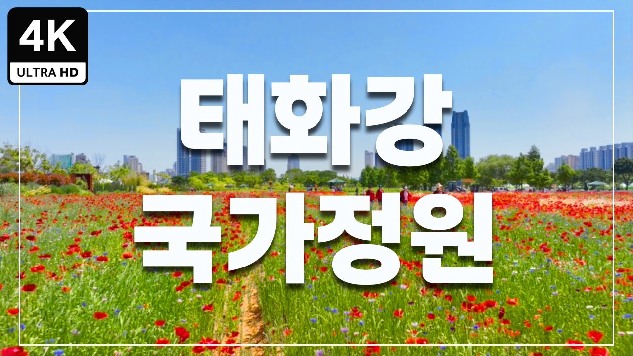 태화강 국가정원 전경과 대숲 뷰 - 울산 태화동 카페 거리 가이드