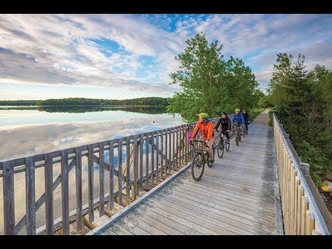 download lagu mp3 mp4 Rum Runners Halifax, download lagu Rum Runners Halifax gratis, unduh video klip Rum Runners Halifax