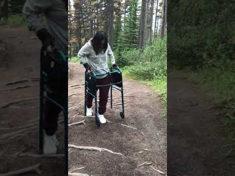 Walking into the woods