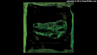 Avey Tare - Heather In The Hospital