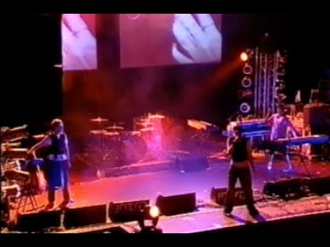 Baxendale Introducing