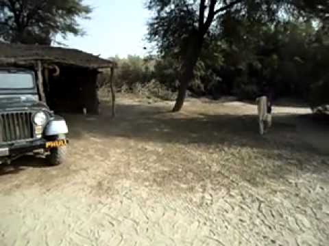 Intisar Phull sabrina Larkana Hunt.mp4