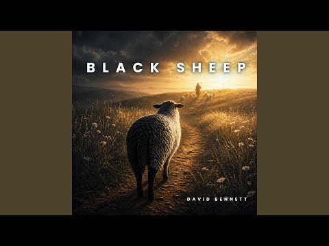 Black Sheep
