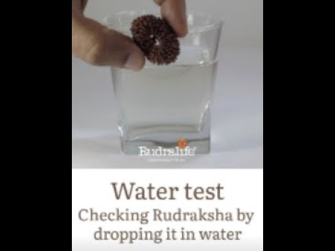 IDENTIFYING FAKE RUDRAKSHA WITH WATER TEST!! IS IT ACCURATE? | RUDRALIFE | #shorts