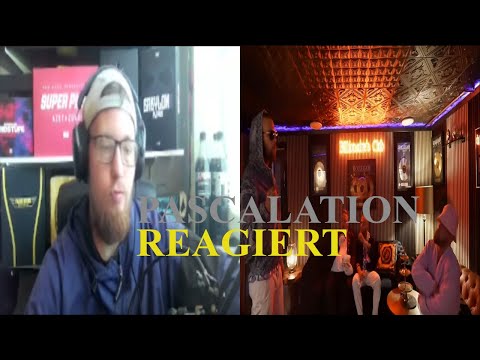KOLLEGAH x Shindy vs. Michi - SHINDY DISS REACTION