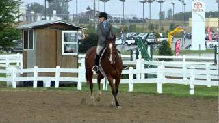 Zandra Powers Horsemanship Classic