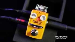 Video thumbnail for Hotone Skyline Series WALLY Looper Mini Guitar Loop Station Pedal | Quicklook by Sam Ash Music