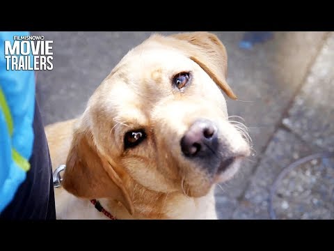 PICK OF THE LITTER Trailer NEW (2018) - Adorable Guide Dog Trainees Documentary
