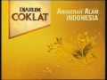 Transtv Djarum Coklat