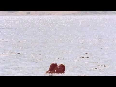 Lehmanns Brothers-I Wanna Be (Micky More & Andy Tee Original ReMix)