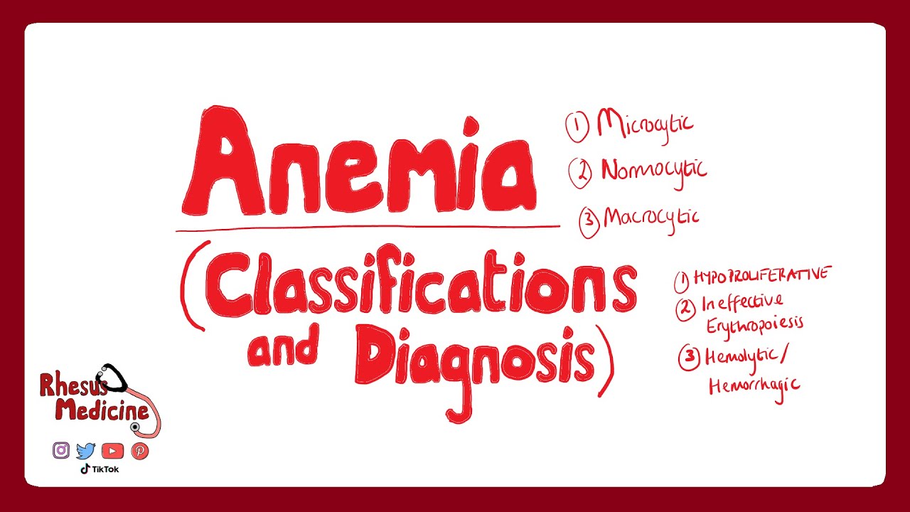ANEMIA CLASSIFICATIONS: How is Anemia Classified? Microcytic/Normocytic/Macrocytic Anemia
