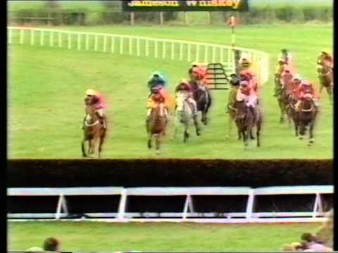 1991 Jameson Irish Grand National Handicap Chase