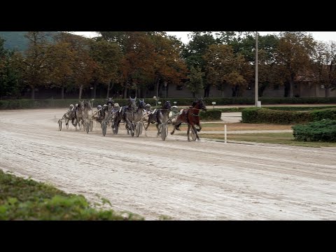 Guntramsdorf-Renntag auf der Trabrennbahn in Baden