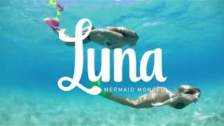 FINIS Luna  Mermaid Mononfin